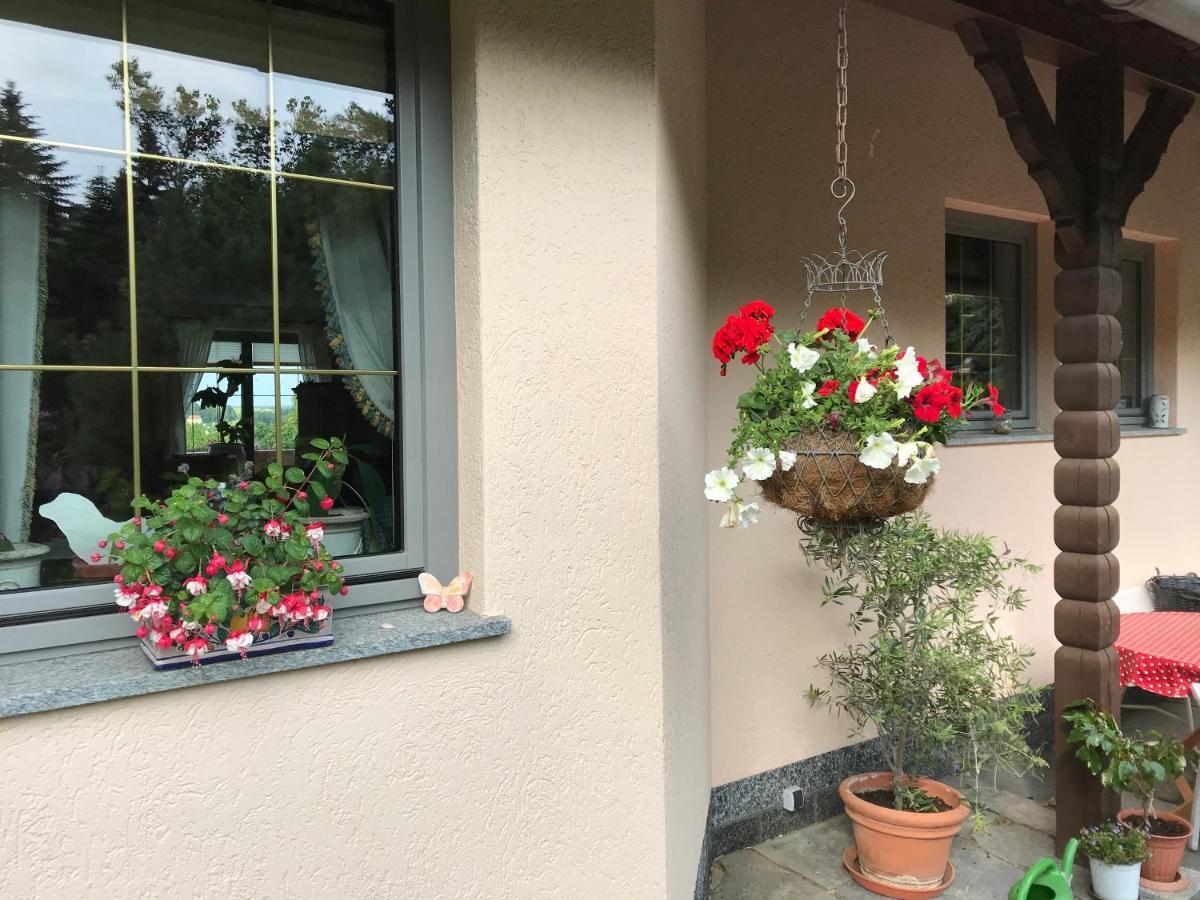Ferienwohnung Pruefer 格赖茨 外观 照片